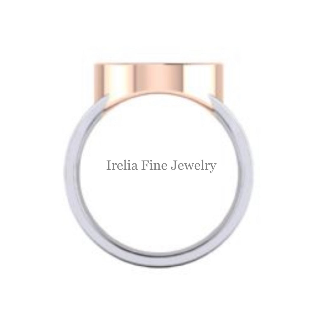 Custom Two-Tone Signet Ring in 14k Rose Gold & Platinum - Family Crest Stone Provided By Client